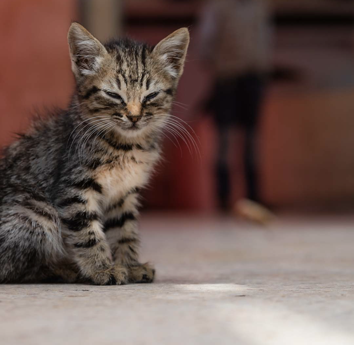 夕暮れのタクシー